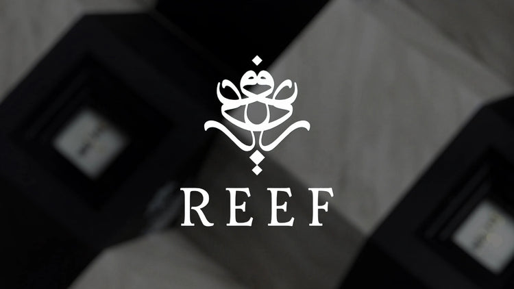 Collezione di Nicchia