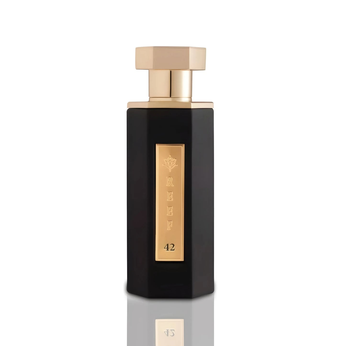 REEF 42